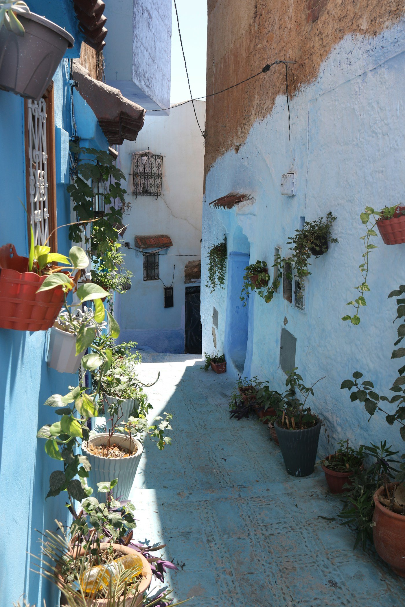 Blue lane in Chefchaouen